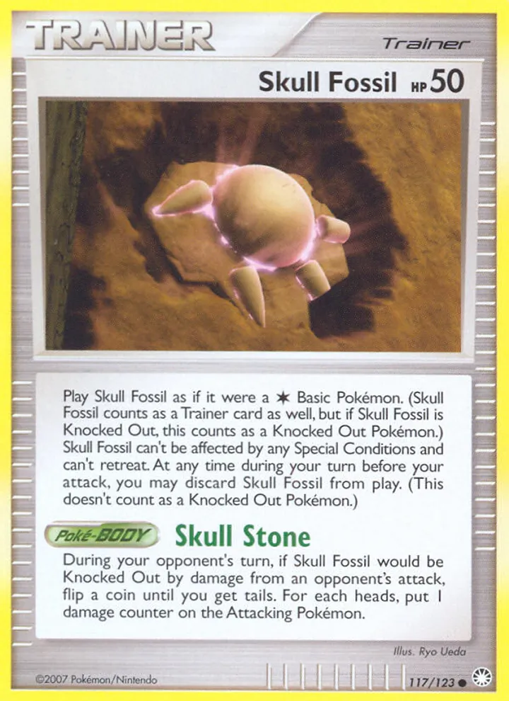 Skull Fossil