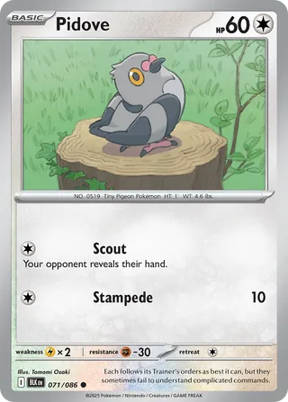 Pidove — Common variant