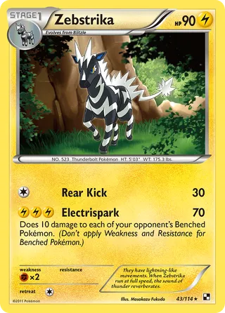 Zebstrika — Rare variant