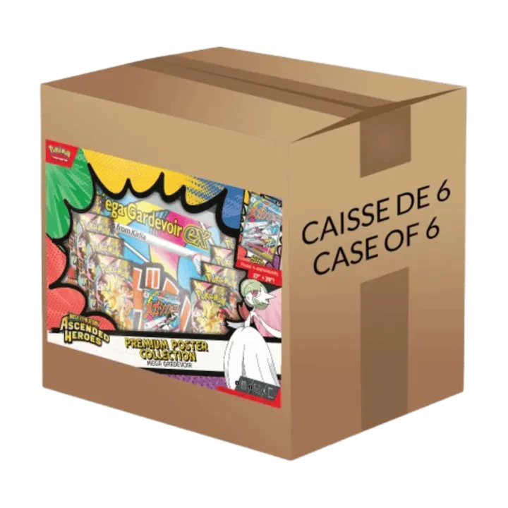 Ascended Heroes Premium Poster Collection Case