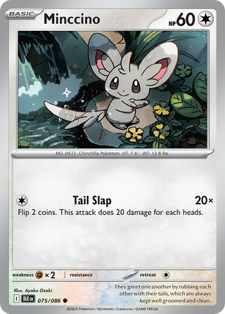 Minccino — Common variant