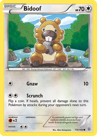 Bidoof — Common variant