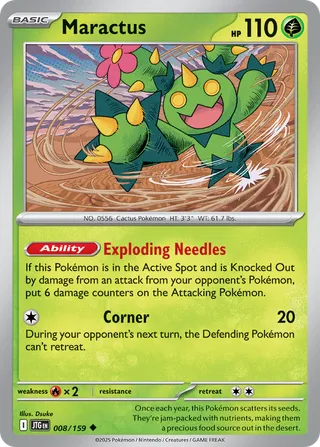 Maractus — Uncommon variant
