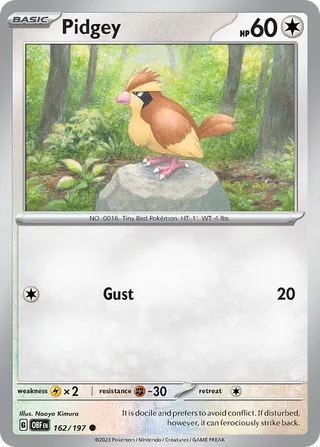 Pidgey — Common variant