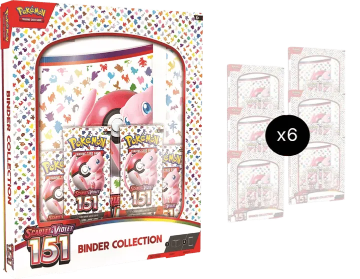 151 Binder Collection Case