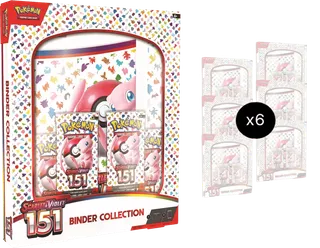151 Binder Collection Case
