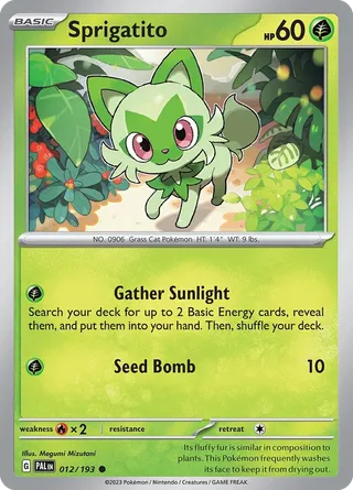 Sprigatito — Common variant