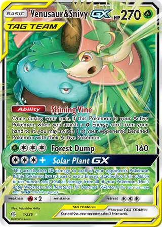 Venusaur & Snivy-GX — Rare Holo GX variant