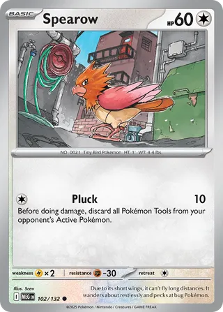 Spearow — Common variant